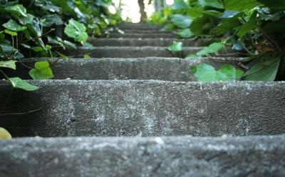 steps